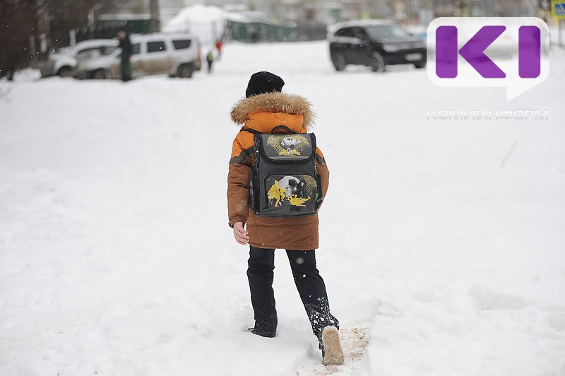 В южных районах Коми для школьников объявлен актированный день