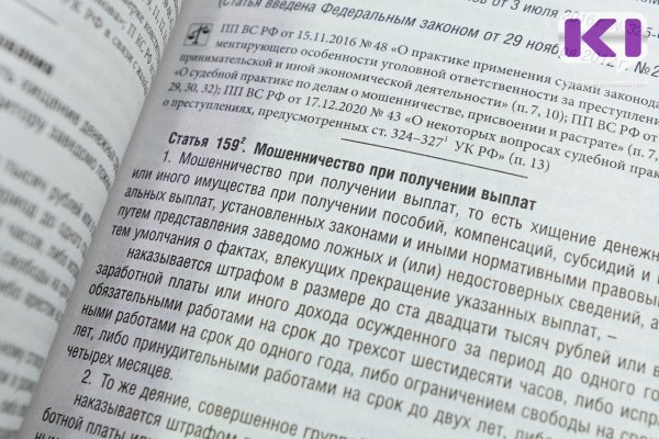 Полицейские Сыктывкара выявили факт мошенничества при получении детских пособий на сумму свыше 1,2 млн рублей