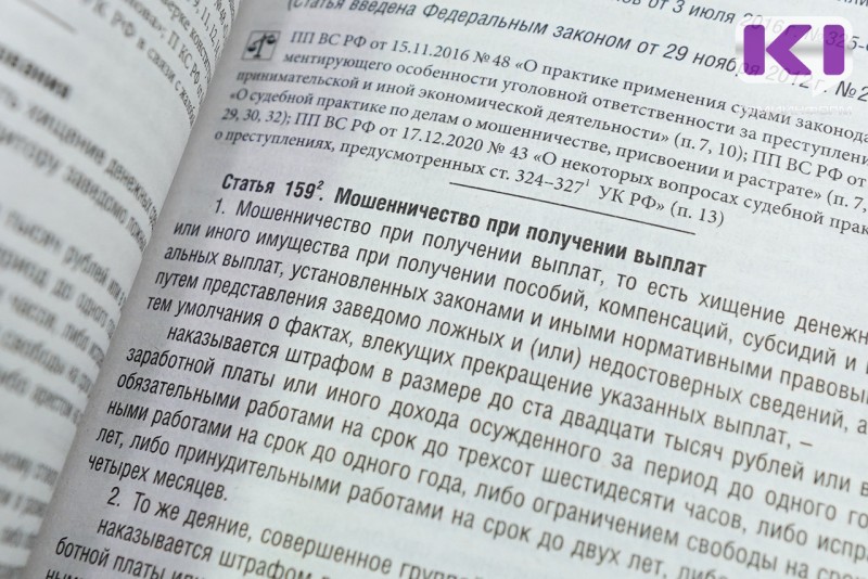 Полицейские Сыктывкара выявили факт мошенничества при получении детских пособий на сумму свыше 1,2 млн рублей