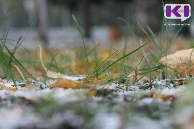 На юге Коми прогнозируют выпревание озимых культур под снегом