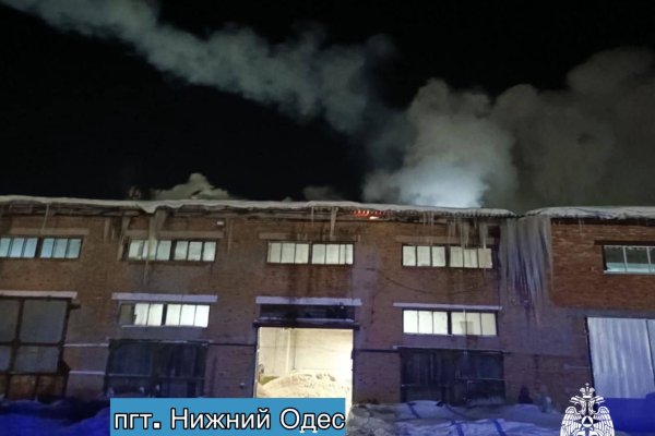 В гараже в поселке Нижний Одес потушили пожар на площади 200 квадратных метров