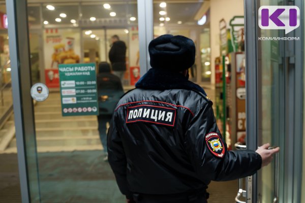 В Воркуте полиция проверяет информацию о мужчине, который напугал девочку
