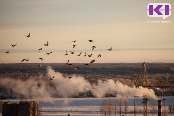 The period of abnormally cold weather in Komi will end on February 3.