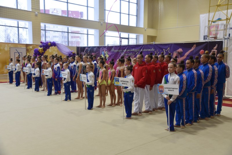 В Сыктывкаре дали старт первенству СЗФО по художественной гимнастике