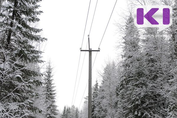 В Сыктывкаре нашли новые опоры с незаконно размещенными линиями связи