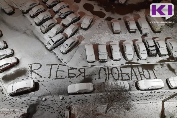 Лишь 16% сыктывкарцев собираются отмечать День святого Валентина