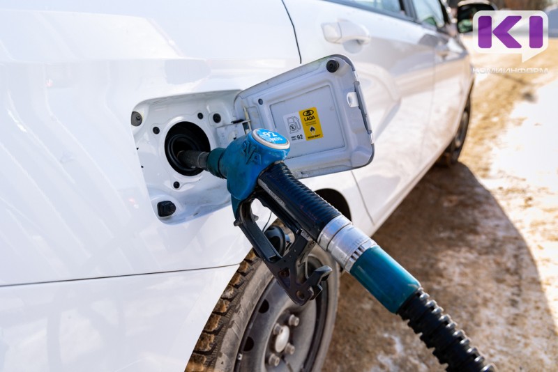 Минэк Коми предложил нескольким крупным компаниям организовать работу заправки у Малой Слуды