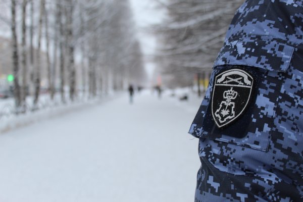 В Сыктывкаре сотрудники вневедомственной охраны пресекли попытку хищения товара из гипермаркета