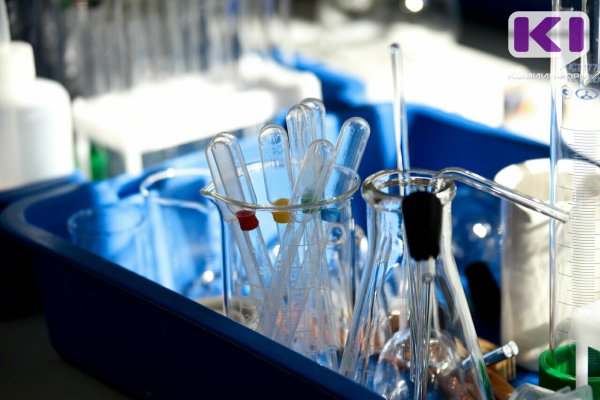 В Коми отмечается рост паразитарных заболеваний 