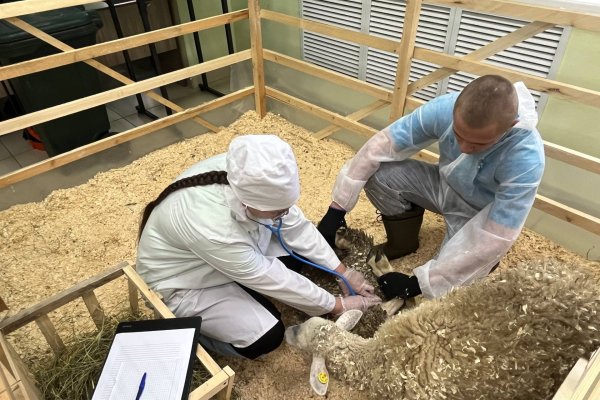 В Коми дан старт региональному этапу чемпионата 