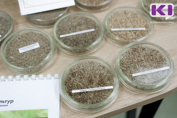 В Коми собираются выращивать сою