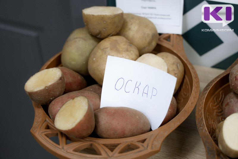 В Коми собирали рекордные в СССР урожаи картофеля - кандидат наук Сергей Семенчин 