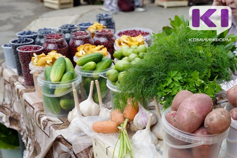 В библиотеке Выльгорта расскажут, как получить богатый урожай на даче     