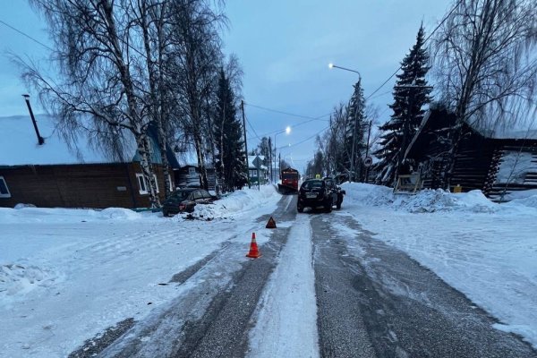 В Усть-Цильме 76-летний пенсионер на Renault не пропустил 