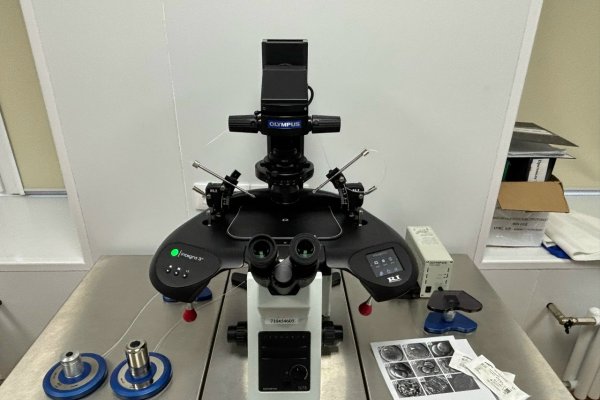 Врачи-репродуктологи расскажут об ЭКО на Дне открытых дверей в Коми республиканском перинатальном центре