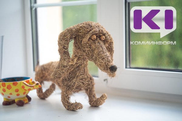 Отлов бездомной собаки в Коми будет стоить от 5,7 до 8,6 тысяч рублей: утверждены тарифы на 2026-2028 годы