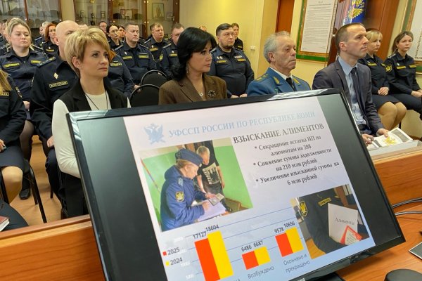 Приставы Коми в 2025 году взыскали алименты на сумму более 1 млрд 599 млн рублей
