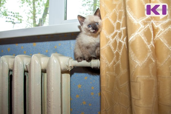 В сыктывкарской Орбите устраняют дефект трубопровода