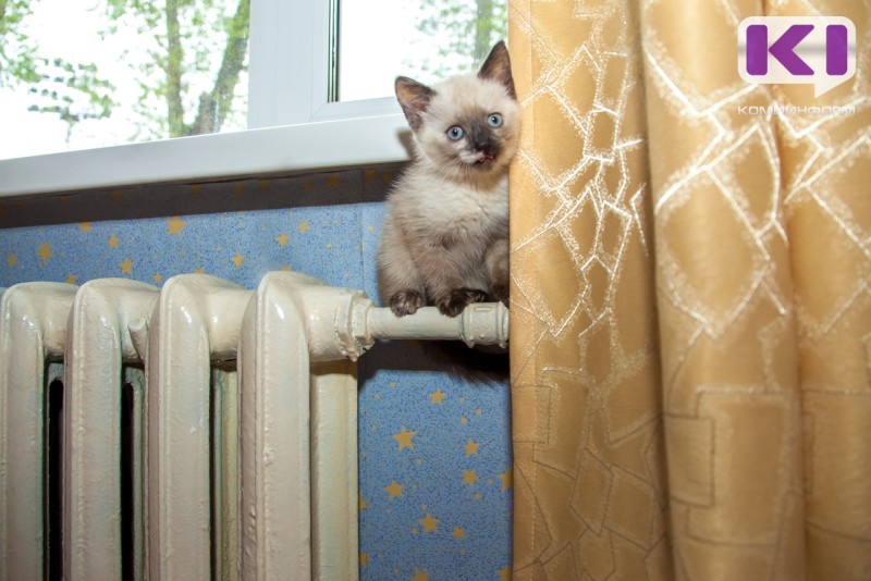 В сыктывкарской Орбите устраняют дефект трубопровода