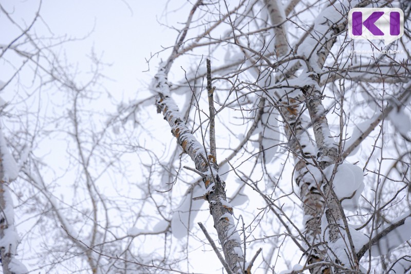 Погода в Коми 2 марта: -13...-18°С, на юге днем -3...-8°С