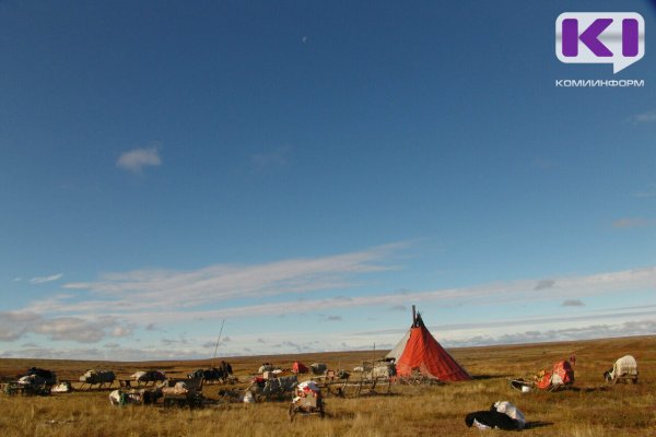 В Воркуте не выявили загрязнения почв на оленьих пастбищах  