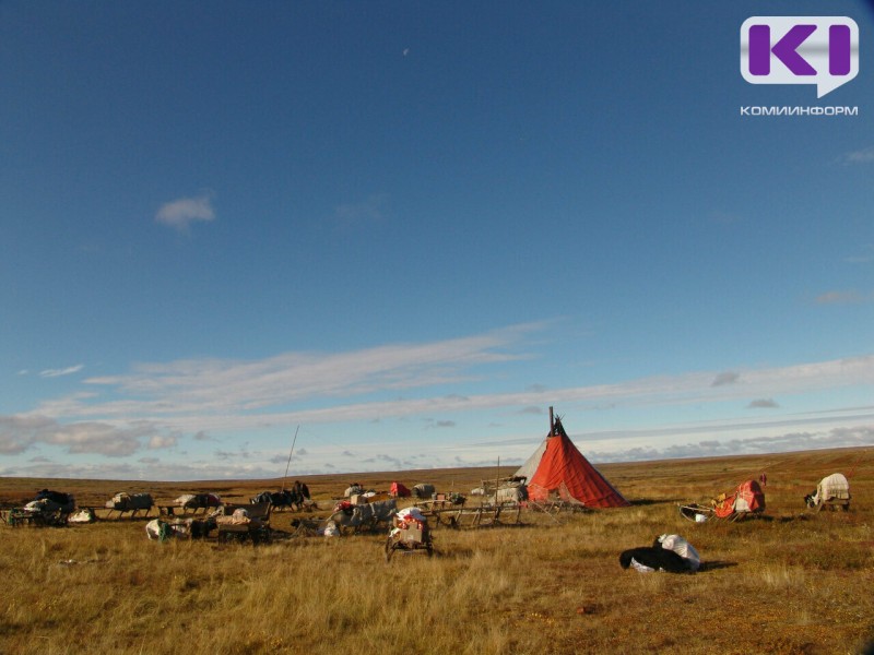 В Воркуте не выявили загрязнения почв на оленьих пастбищах  