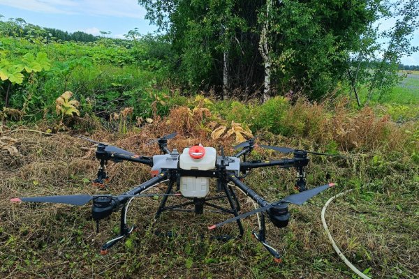 Дроны и роботы-дояры: в сельском хозяйстве Коми внедряют новые технологии