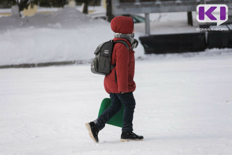 В каких городах и районах Коми объявили актированный день