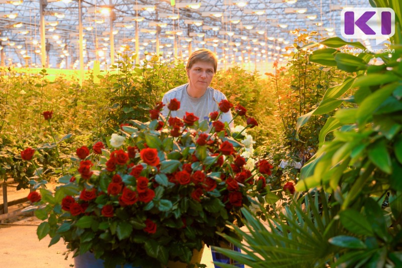 Как надолго сохранить праздничный букет