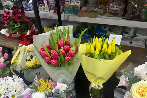 Розы из Эквадора и гвоздики из Китая: какими букетами будут радовать сыктывкарок на 8 Марта