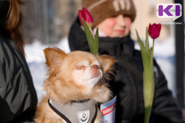 В Коми на неделе произойдет погодная перестройка
