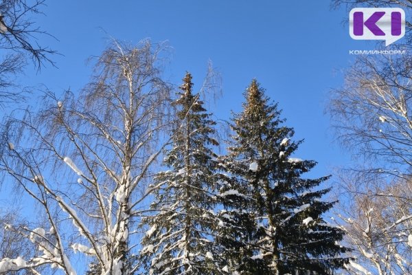 Погода в Коми 9 марта: морозы отступают