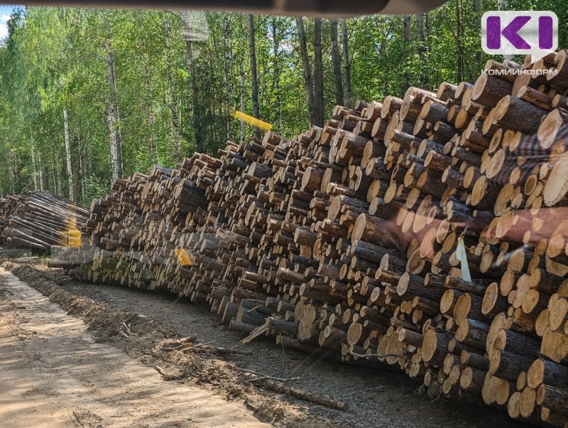 Североморский Россельхознадзор предупредил лесников об ужесточении требований 