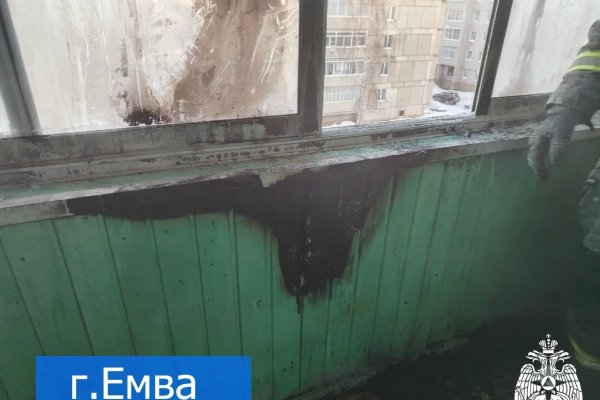 На пожаре в Емве спасены четыре человека