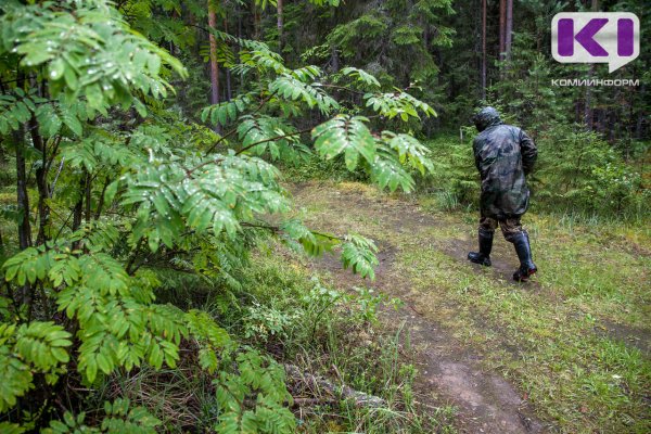 В Княжпогостском районе вынесен приговор о незаконном приобретении, перевозке и хранении пороха