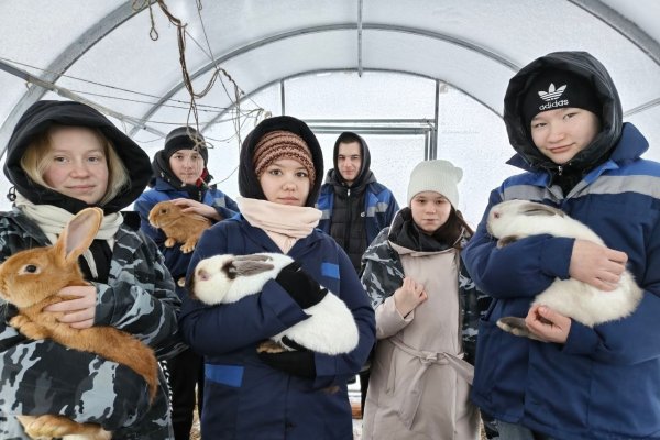 Коми увеличила выплаты молодым специалистам в сельском хозяйстве до 600 тыс. рублей

