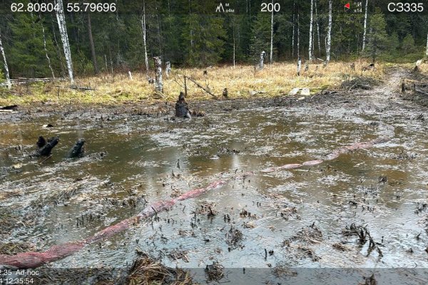 Росприроднадзор взыскал с 