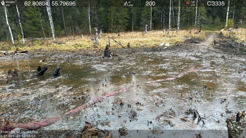 Росприроднадзор взыскал с "Нижнеомринской нефти" 14,3 млн руб 