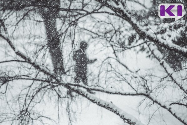 В Усть-Цилемском и Усинском районах ожидаются снегопады