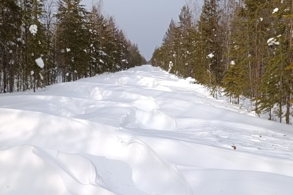 В заказнике 