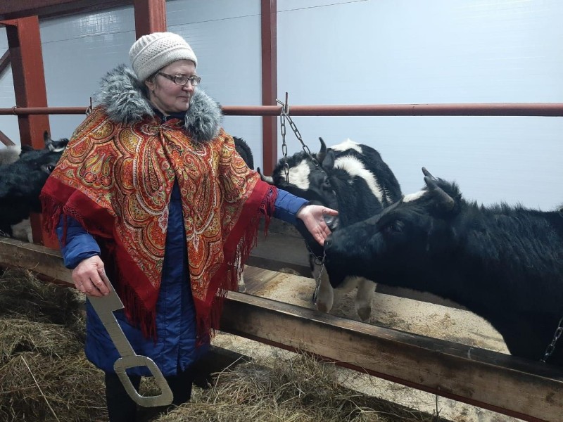 В Год села в Коми фермеры смогут получить гранты на развитие хозяйства до 30 млн рублей