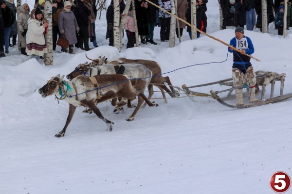 В Коми с размахом отметили традиционный праздник оленеводов 