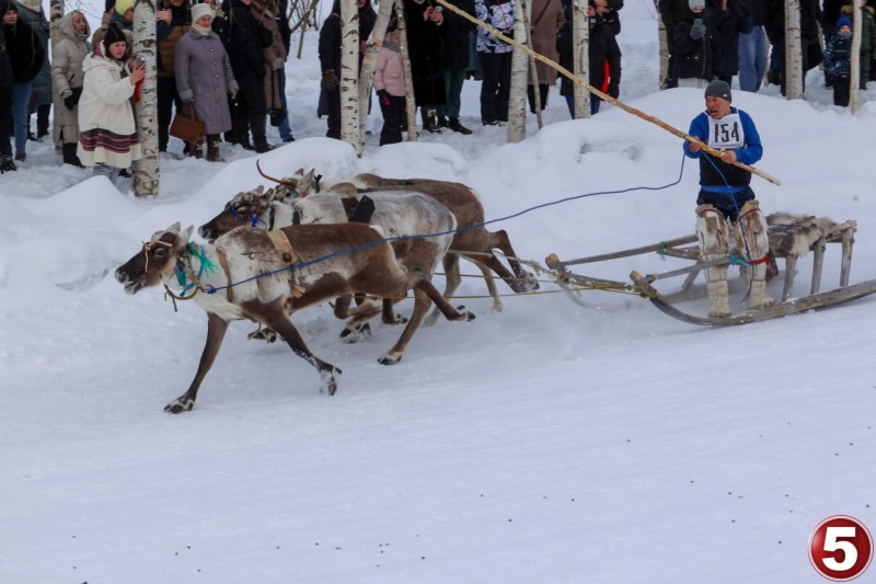 В Коми с размахом отметили традиционный праздник оленеводов "Тэрыб кöр"

