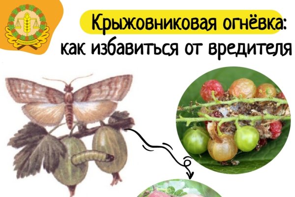 Россельхозцентр Коми напомнил о весенней обработке сада кипятком