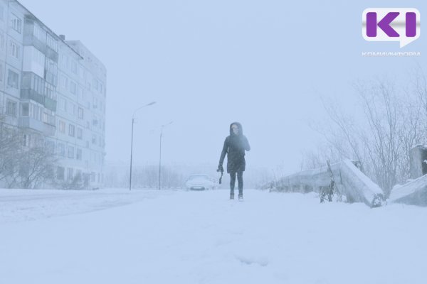 МЧС предупреждает о сильном ветре в северных районах Коми