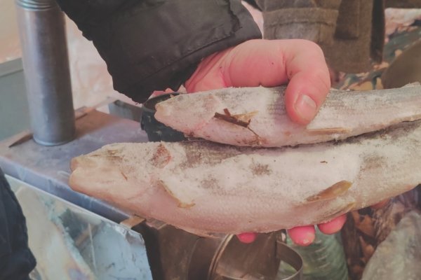 В заказнике 