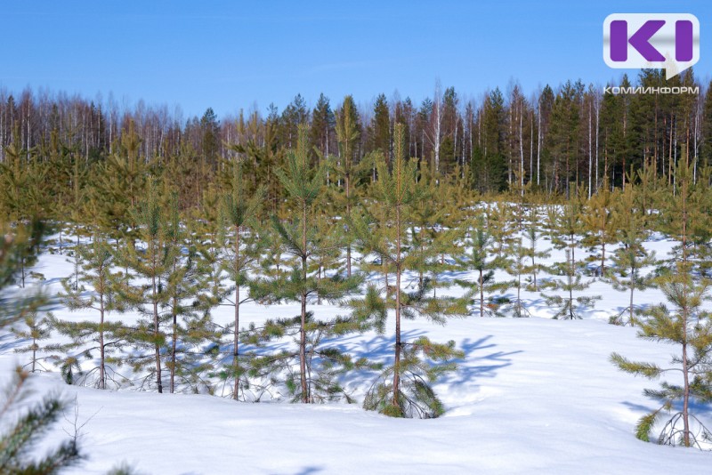 Погода в Коми 18 марта: на севере -20°С, на юге до +10°С