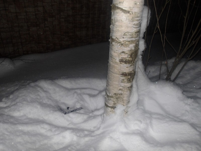 Ночной поход за товаром: в лесу Эжвинского района задержали двух искателей закладок