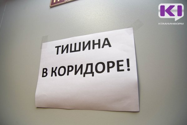 В Вуктыле любительница громкой музыки предстанет перед судом за оскорбление полицейского