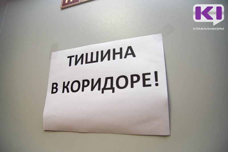 В Вуктыле любительница громкой музыки предстанет перед судом за оскорбление полицейского